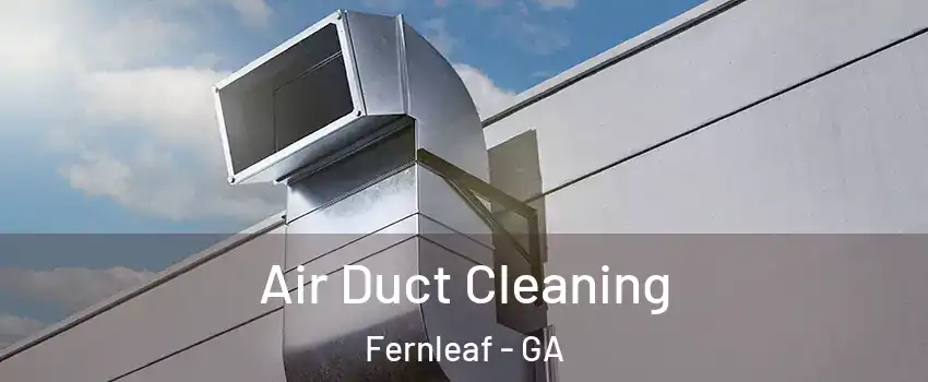 Air Duct Cleaning Fernleaf - GA