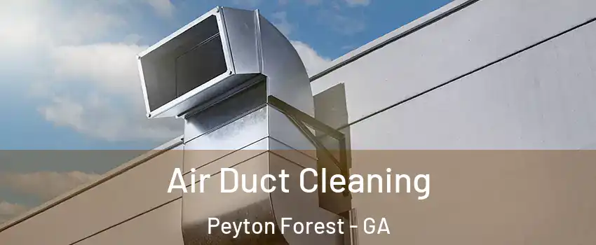 Air Duct Cleaning Peyton Forest - GA