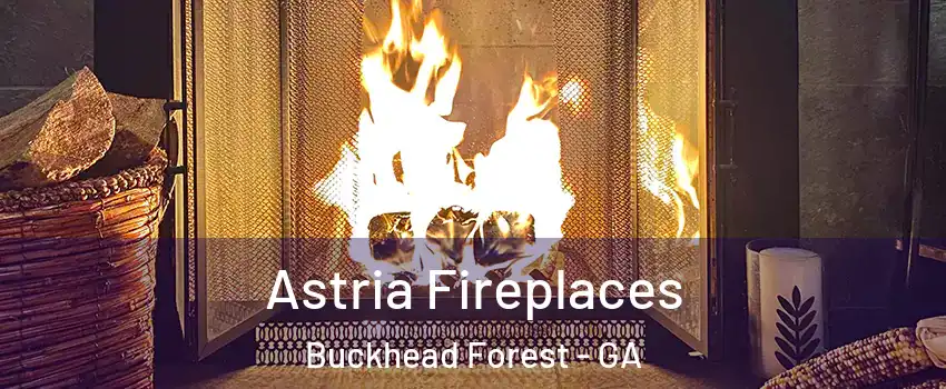 Astria Fireplaces Buckhead Forest - GA
