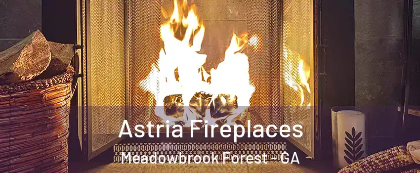 Astria Fireplaces Meadowbrook Forest - GA