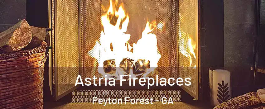 Astria Fireplaces Peyton Forest - GA