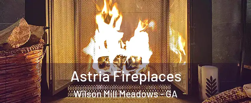 Astria Fireplaces Wilson Mill Meadows - GA