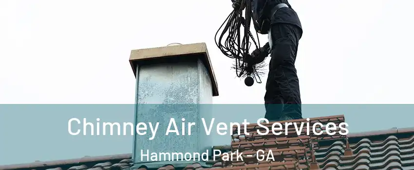 Chimney Air Vent Services Hammond Park - GA