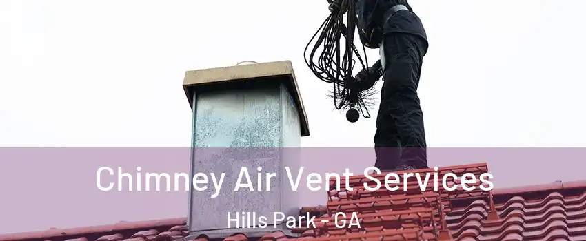 Chimney Air Vent Services Hills Park - GA