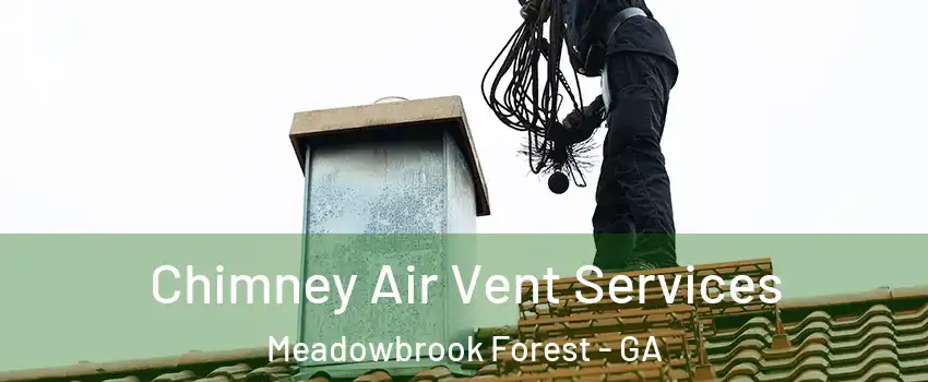 Chimney Air Vent Services Meadowbrook Forest - GA