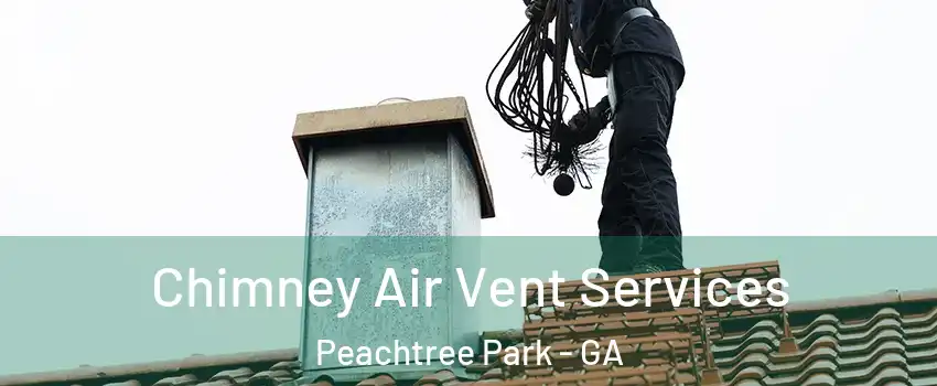 Chimney Air Vent Services Peachtree Park - GA