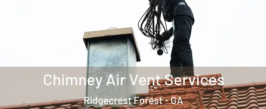 Chimney Air Vent Services Ridgecrest Forest - GA
