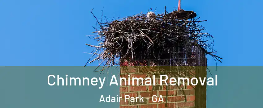 Chimney Animal Removal Adair Park - GA