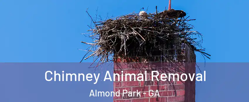 Chimney Animal Removal Almond Park - GA