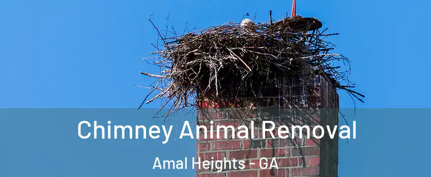 Chimney Animal Removal Amal Heights - GA