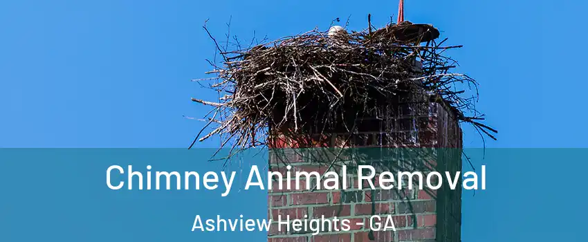 Chimney Animal Removal Ashview Heights - GA