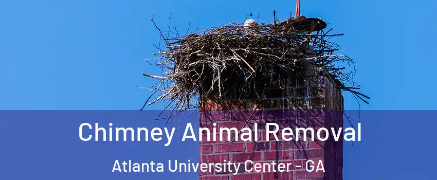Chimney Animal Removal Atlanta University Center - GA