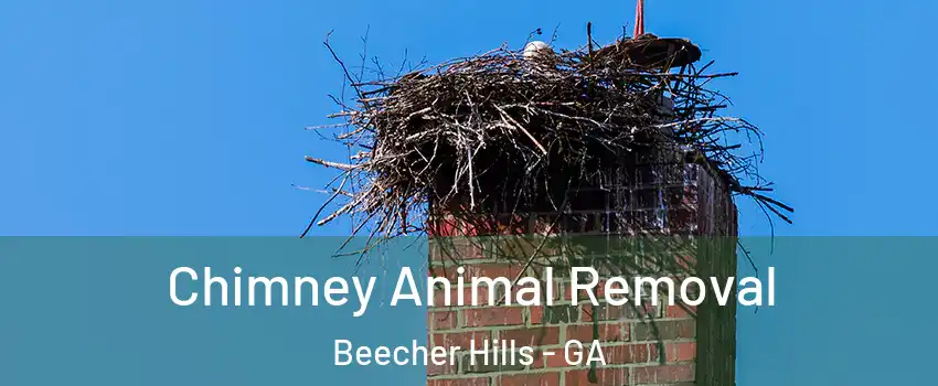 Chimney Animal Removal Beecher Hills - GA