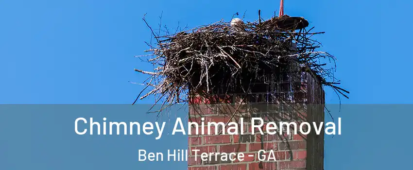 Chimney Animal Removal Ben Hill Terrace - GA
