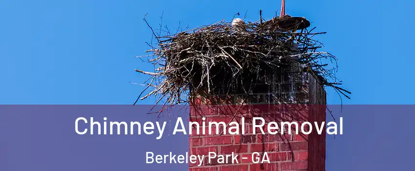 Chimney Animal Removal Berkeley Park - GA