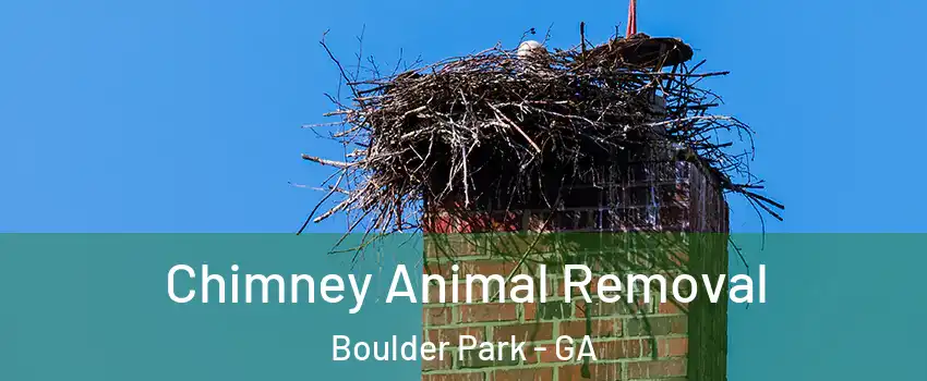 Chimney Animal Removal Boulder Park - GA