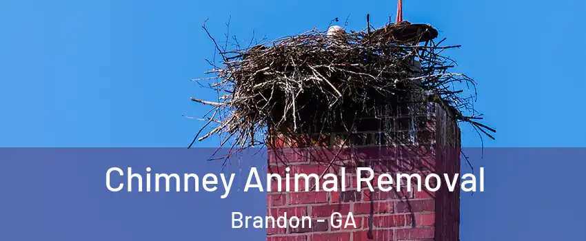Chimney Animal Removal Brandon - GA