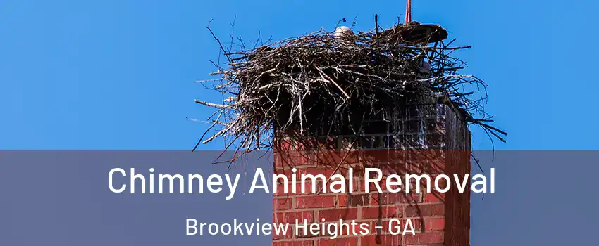 Chimney Animal Removal Brookview Heights - GA