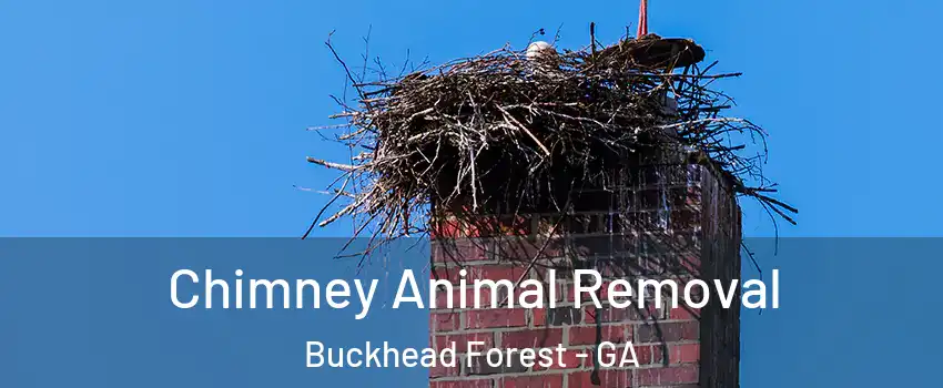 Chimney Animal Removal Buckhead Forest - GA