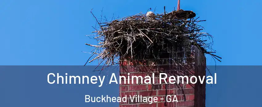 Chimney Animal Removal Buckhead Village - GA