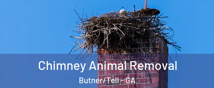 Chimney Animal Removal Butner/Tell - GA