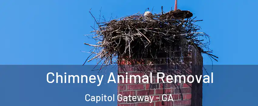 Chimney Animal Removal Capitol Gateway - GA