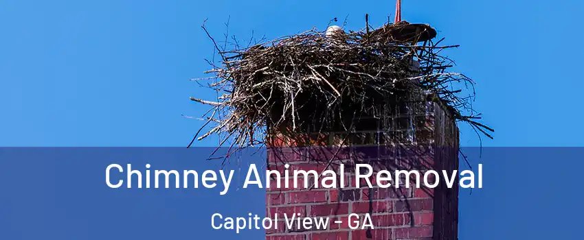 Chimney Animal Removal Capitol View - GA