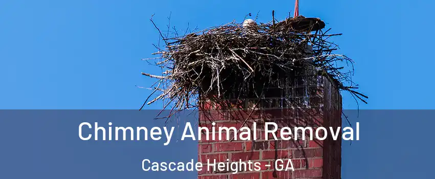 Chimney Animal Removal Cascade Heights - GA