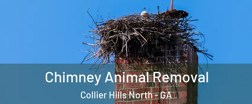 Chimney Animal Removal Collier Hills North - GA