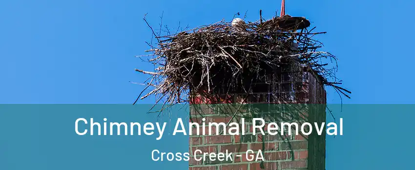 Chimney Animal Removal Cross Creek - GA