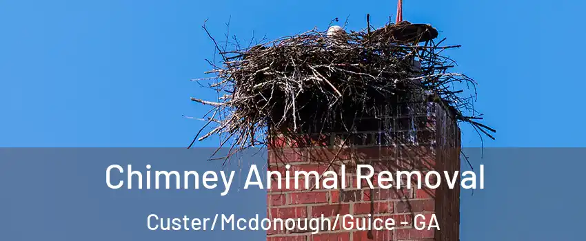 Chimney Animal Removal Custer/Mcdonough/Guice - GA