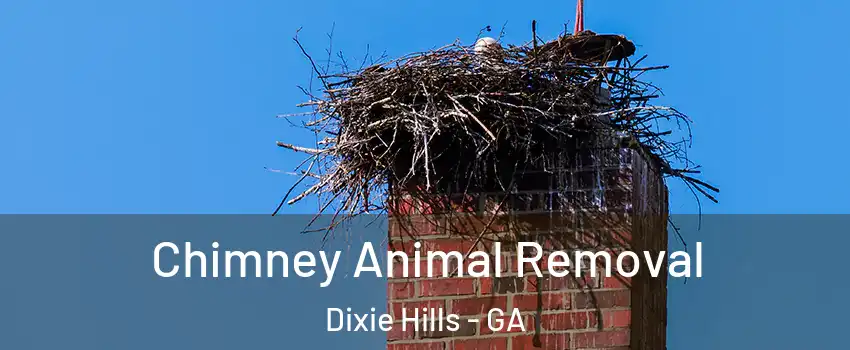 Chimney Animal Removal Dixie Hills - GA