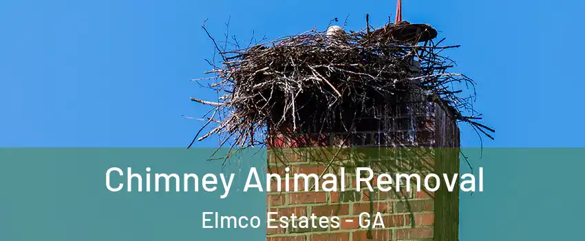 Chimney Animal Removal Elmco Estates - GA