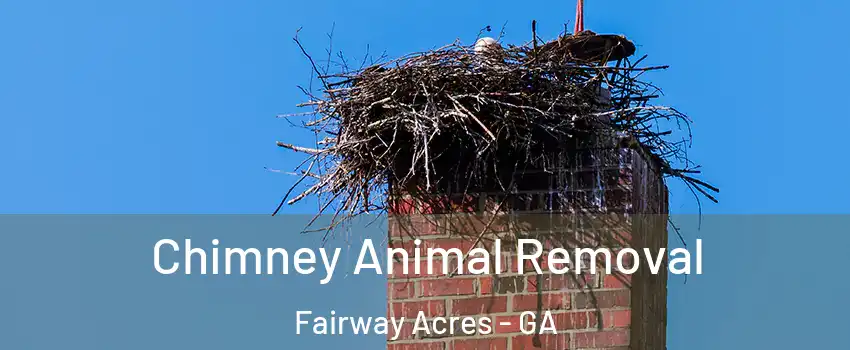 Chimney Animal Removal Fairway Acres - GA