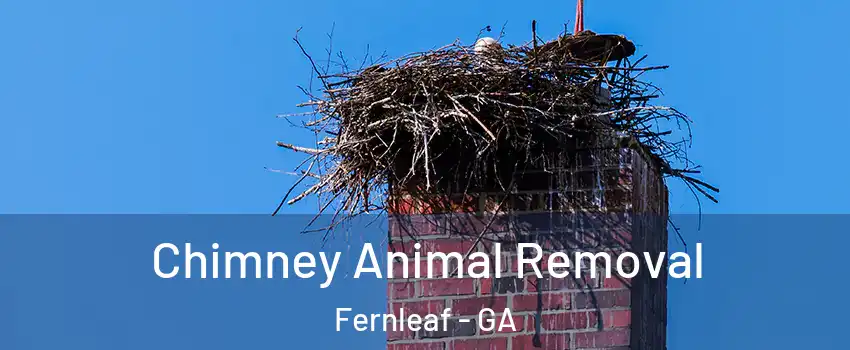 Chimney Animal Removal Fernleaf - GA