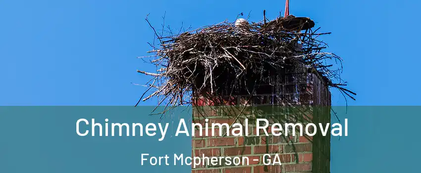 Chimney Animal Removal Fort Mcpherson - GA