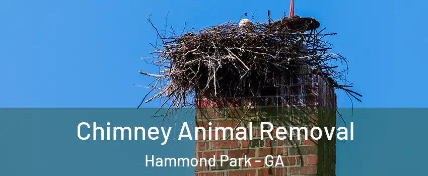 Chimney Animal Removal Hammond Park - GA