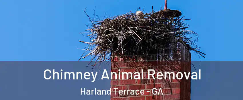 Chimney Animal Removal Harland Terrace - GA