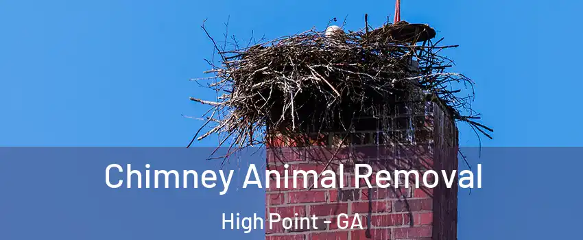 Chimney Animal Removal High Point - GA