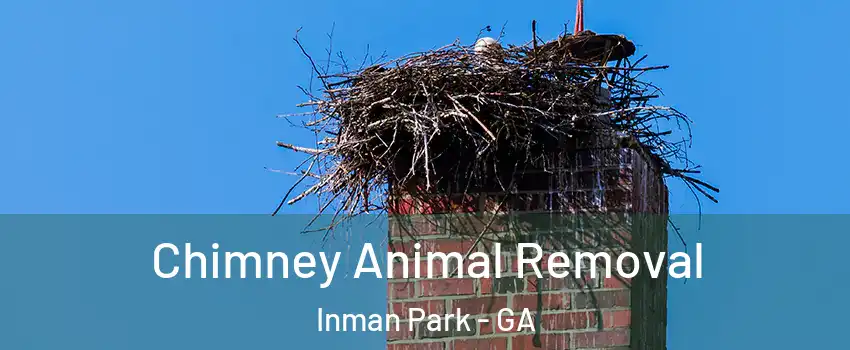 Chimney Animal Removal Inman Park - GA