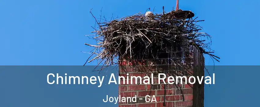 Chimney Animal Removal Joyland - GA