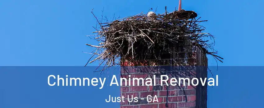 Chimney Animal Removal Just Us - GA
