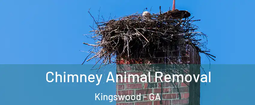 Chimney Animal Removal Kingswood - GA