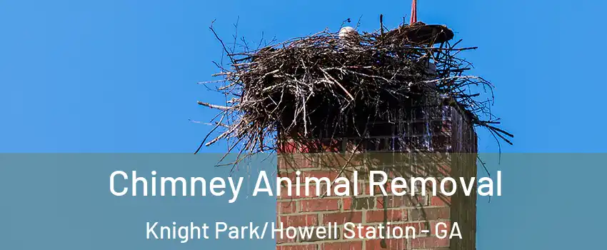 Chimney Animal Removal Knight Park/Howell Station - GA