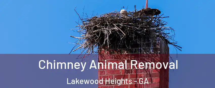 Chimney Animal Removal Lakewood Heights - GA
