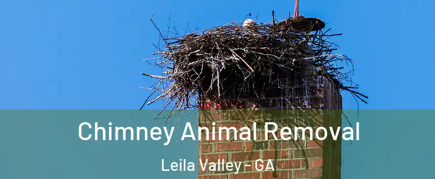 Chimney Animal Removal Leila Valley - GA