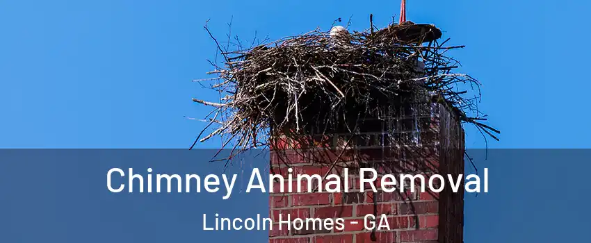 Chimney Animal Removal Lincoln Homes - GA