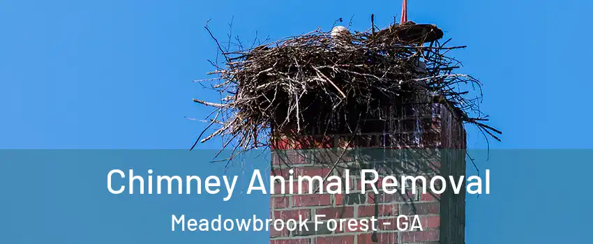 Chimney Animal Removal Meadowbrook Forest - GA