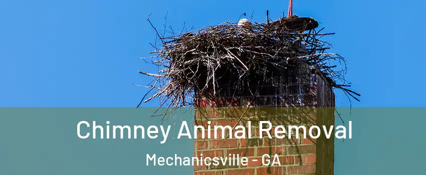 Chimney Animal Removal Mechanicsville - GA