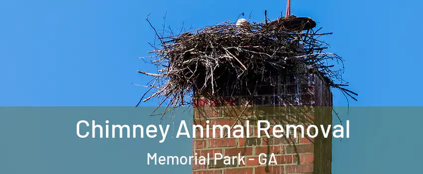 Chimney Animal Removal Memorial Park - GA